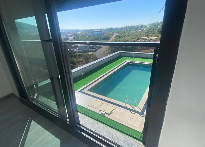 Bellevue * Дидим